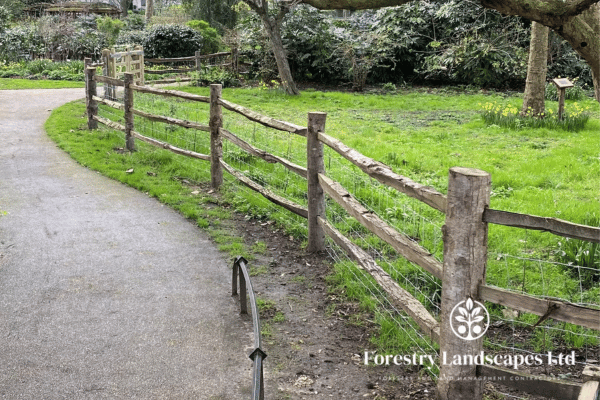 Fencing Services